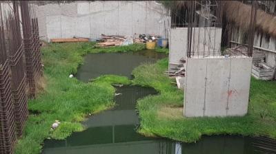 Intervienen terreno abandonado en Antofagasta por riesgo sanitario y posible foco de mosquito Aedes aegypti