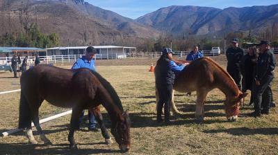 Usuarios del CET de Putaendo se convertirán en asistentes de equinoterapia gracias a convenio