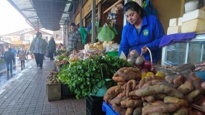 Castro obtiene $120 millones para fortalecer el fomento productivo y apoyar a emprendedores