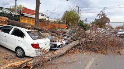 Kast reiteró llamado al "autocuidado" por tren atmosférico: "La solicitud que le hacemos a la ciudadanía es de precaución"