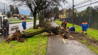 Fuerte temporal de viento deja a más de cien mil clientes sin luz en La Araucanía