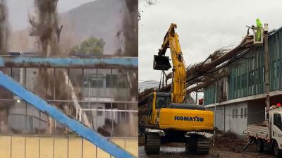 [VIDEO] Fuertes vientos provocaron la caída de árbol sobre liceo de Llay Llay