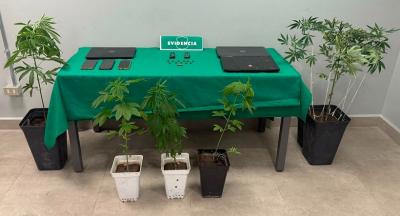 Operativo en Arica: OS9 y Fiscalía incautan material pornográfico infantil, armas y drogas