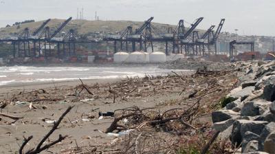 Convocan a jornada de limpieza de emergencia en la playa de Llolleo tras intenso sistema frontal