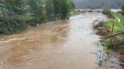Declaran Alerta Roja para la comuna de Arauco por crecida del río Pichilo