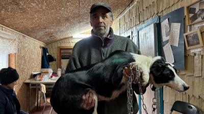 Operativo gratuito de esterilización benefició a mascotas del sector Quiao en Chonchi
