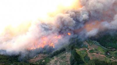 Firman convenio por $9.800 millones para recuperar bosques afectados por los incendios en Biobío