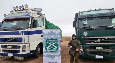 Dos conductores detenidos por contrabando de ropa usada en la Ruta A-191 de Arica