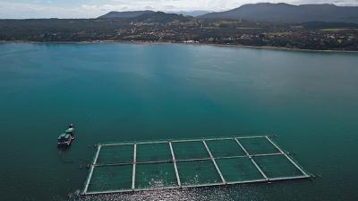 Declararon inconstitucional eximir de evaluación ambiental las relocalizaciones de las concesiones acuícolas