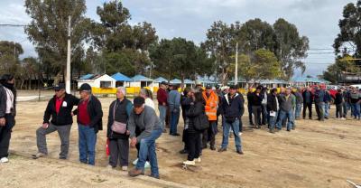 Entregan primera ayuda alimentaria para pequeños productores ganaderos de La Ligua