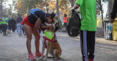 Lleva a tu regalón: preparan Corrida Familiar Canina esta sábado en La Cruz