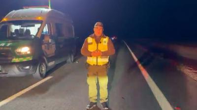 Hombre murió tras ser atropellado por vehículo de carga en Ruta 5 Norte en Tarapacá