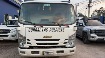 Recuperan camión avaluado en $25 millones que estaba clonado en Petorca