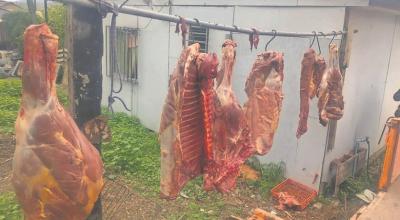 Atacama: detectan matadero clandestino que tenía 100 kilos de carne equina