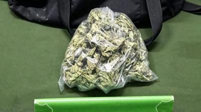 Con más de 320 gramos de marihuana fue detenido sujeto que estaba hospitalizado en Ancud