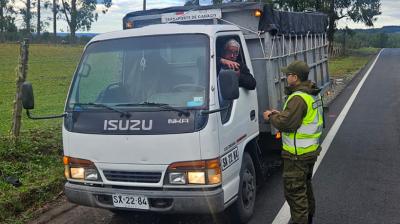 Carabineros refuerza prevención contra el abigeato en sectores rurales de Purranque