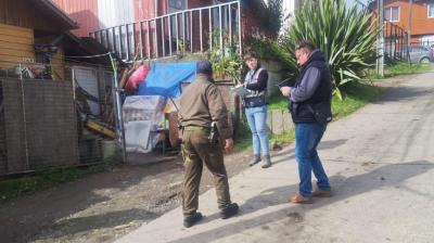 Detienen a dueño de perro tras constatar presunto maltrato animal en Castro