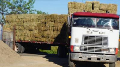 La Ligua: municipio recibe 600 fardos de pasto con dinero recaudado en evento solidario