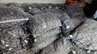 Incautan dos camiones con más de 8,6 toneladas de recursos marinos sin documentación en Chacao