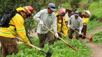 Anuncian 1.500 nuevos empleos para reforzar la prevención de incendios forestales en el Biobío