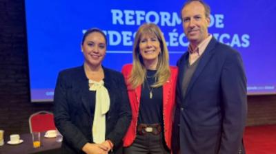 Alcaldes de Santo Domingo y Cartagena abordan reforma de redes eléctricas con ministra Rincón