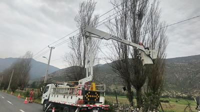 Anuncian corte del suministro eléctrico en Nogales por poda: afectará a más de 4 mil vecinos