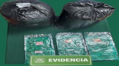 Madre y su hijo son sorprendidos con más de 17 kilos de hojas de coca en Colchane