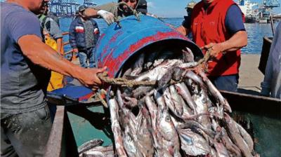 Término de la veda de la merluza abre expectativas de pescadores artesanales