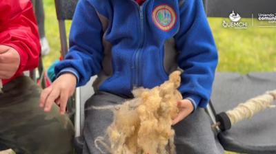 Quemchi: Niños y niñas de Quicaví culminan taller de hiladura con jornada práctica en Aucar