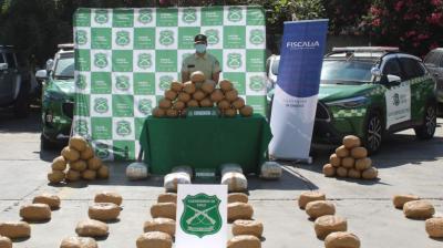 [VIDEO]  Allanan domicilios y desarticulan banda que comercializaba droga en Iquique y Alto Hospicio: decomisaron 133 kilos de marihuana