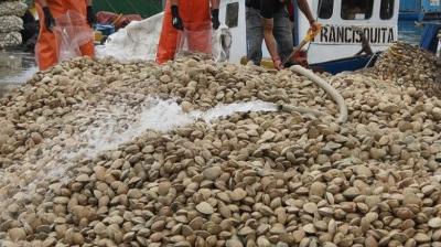Monitorean presencia de marea roja en Bahía Terao de Chonchi