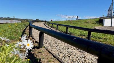 Dalcahue inauguró proyecto de arborización y mejoramiento de área verde en Villa Suyai
